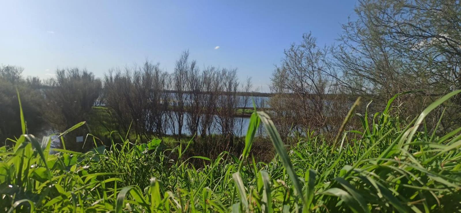 Casa Vacanze Nel Delta Del Po Taglio di Po المظهر الخارجي الصورة