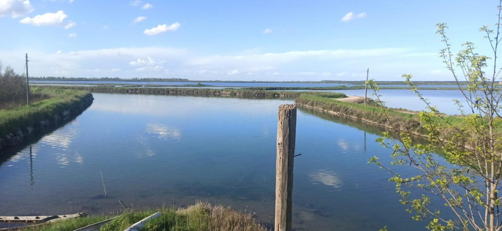 Casa Vacanze Nel Delta Del Po Taglio di Po المظهر الخارجي الصورة