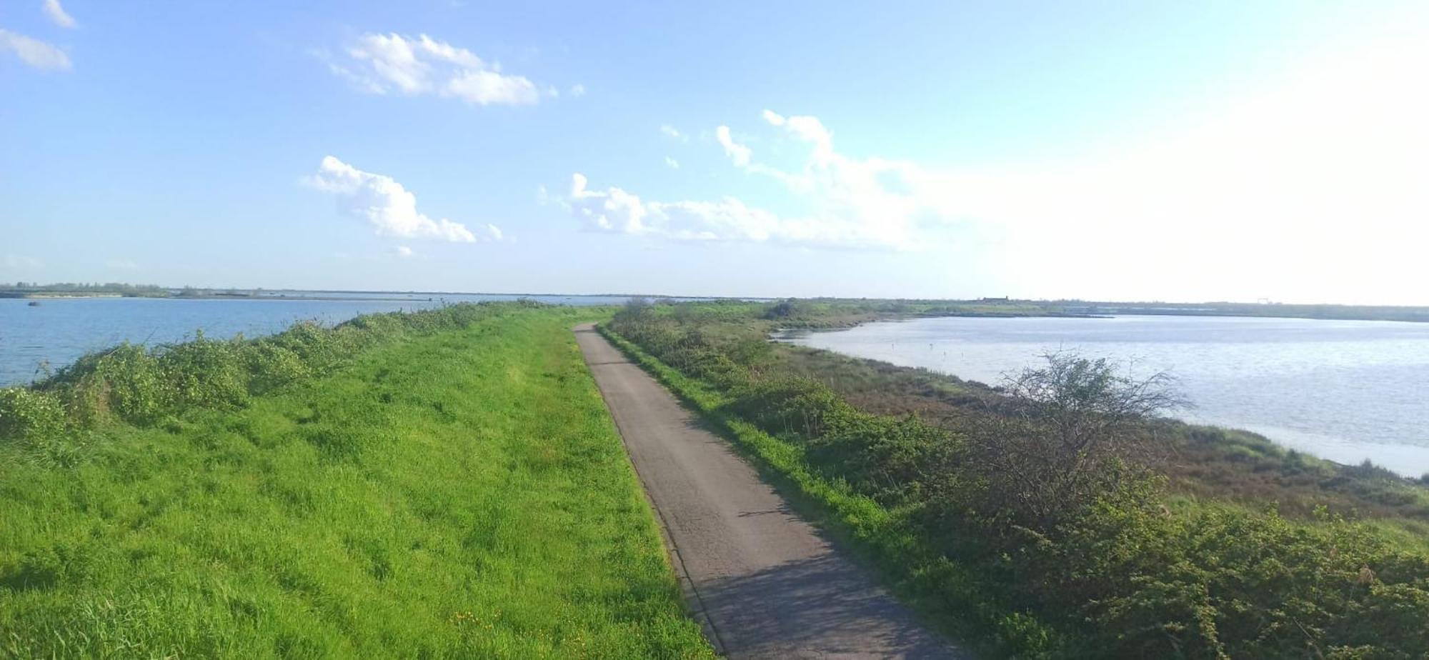 Casa Vacanze Nel Delta Del Po Taglio di Po المظهر الخارجي الصورة