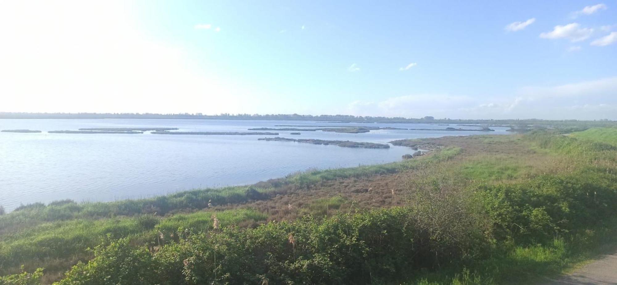 Casa Vacanze Nel Delta Del Po Taglio di Po المظهر الخارجي الصورة
