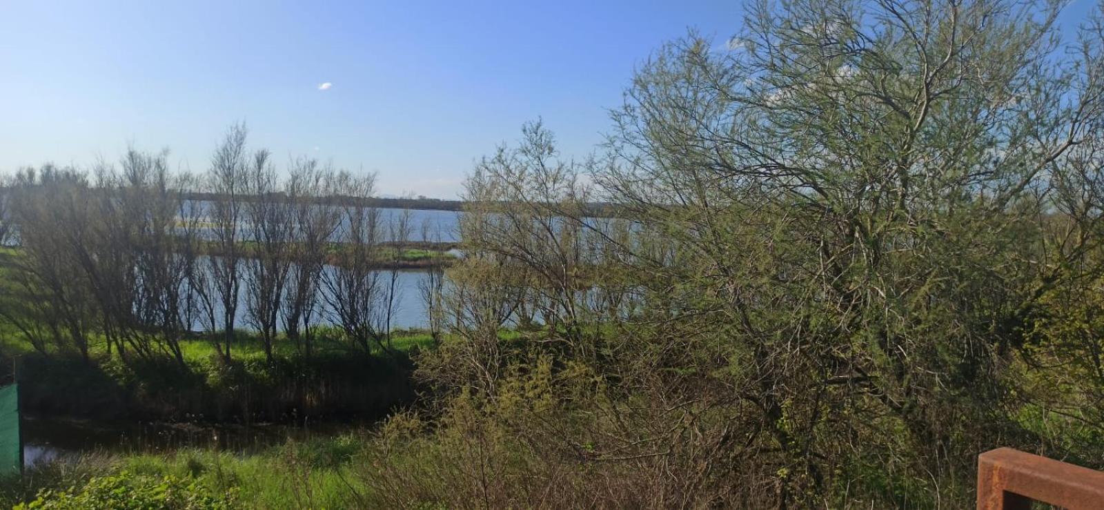 Casa Vacanze Nel Delta Del Po Taglio di Po المظهر الخارجي الصورة