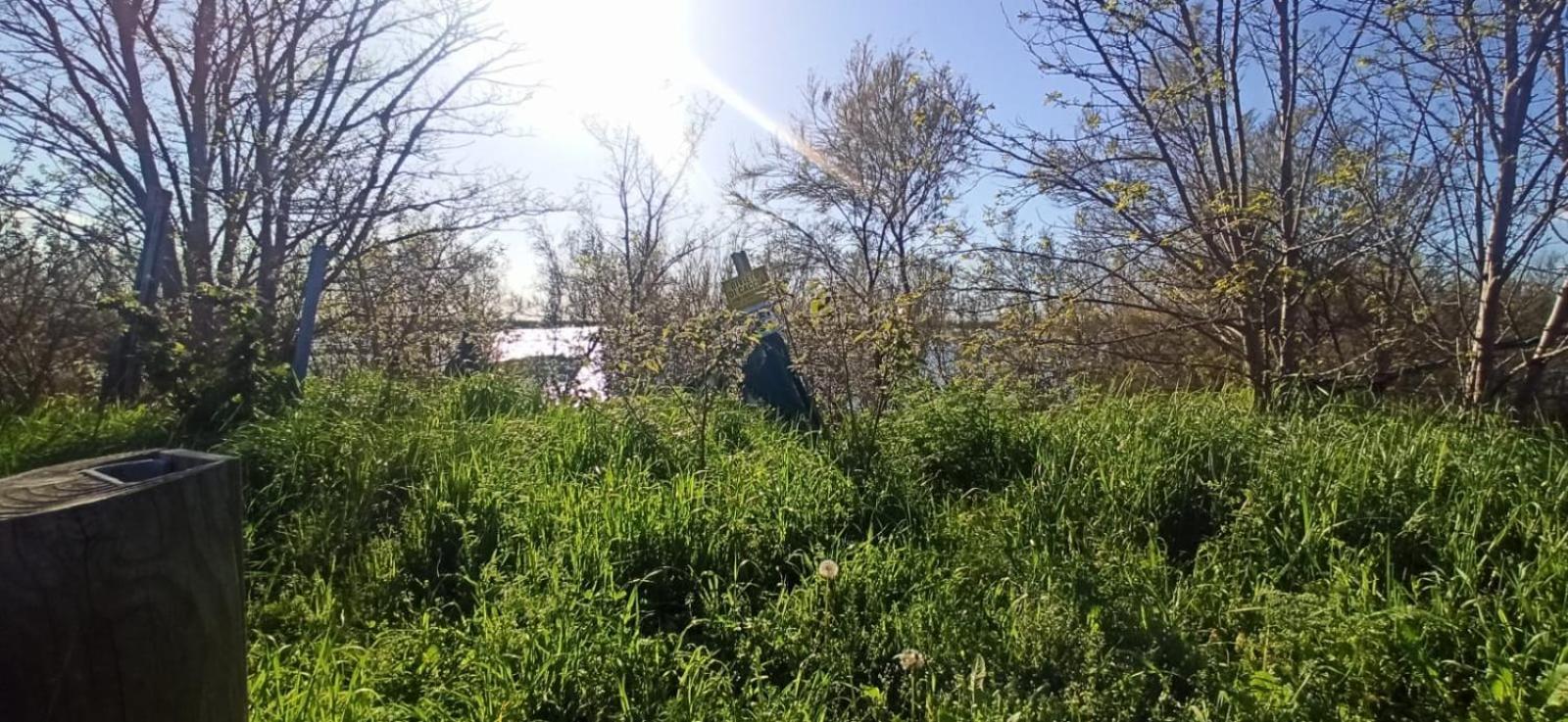 Casa Vacanze Nel Delta Del Po Taglio di Po المظهر الخارجي الصورة