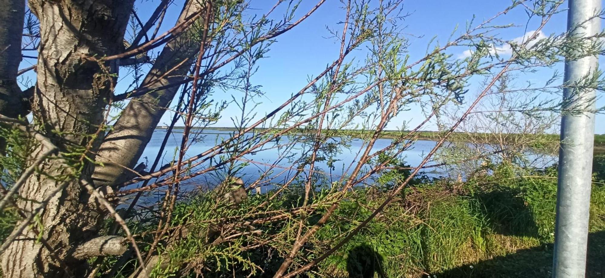 Casa Vacanze Nel Delta Del Po Taglio di Po المظهر الخارجي الصورة
