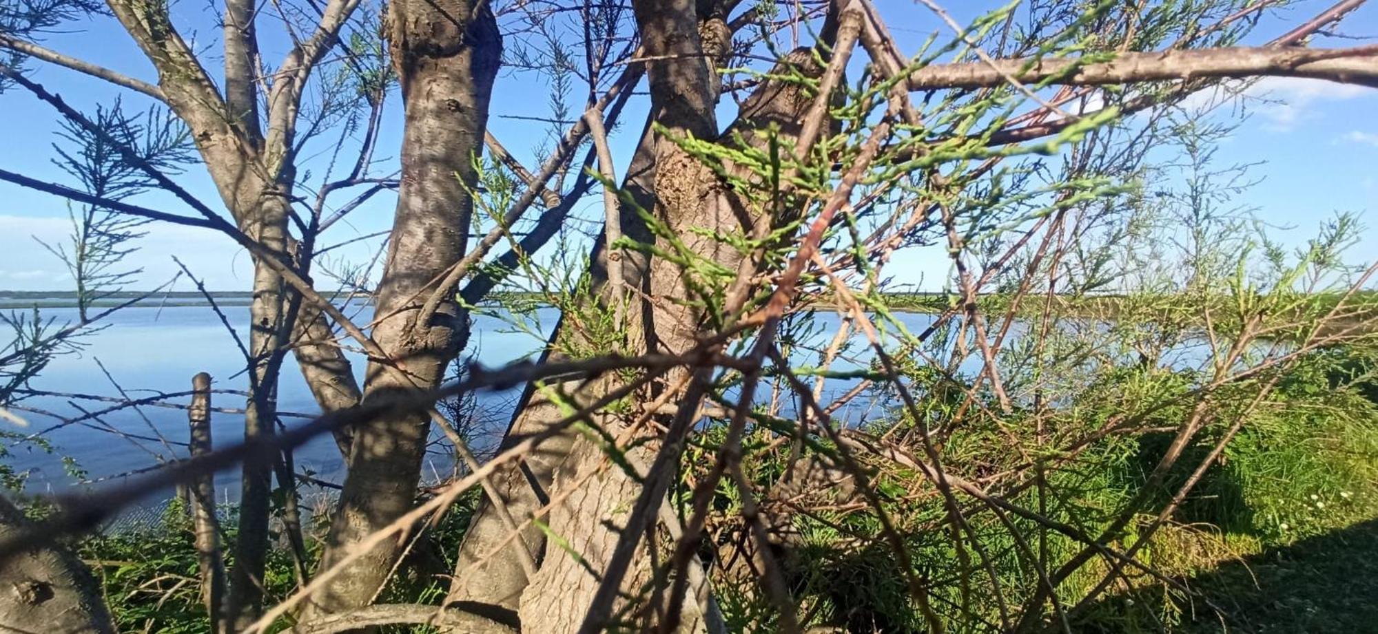Casa Vacanze Nel Delta Del Po Taglio di Po المظهر الخارجي الصورة