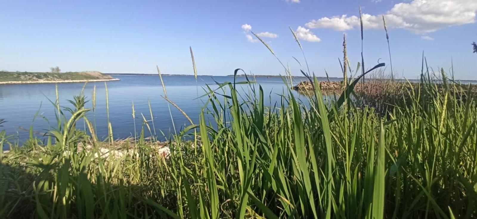 Casa Vacanze Nel Delta Del Po Taglio di Po المظهر الخارجي الصورة