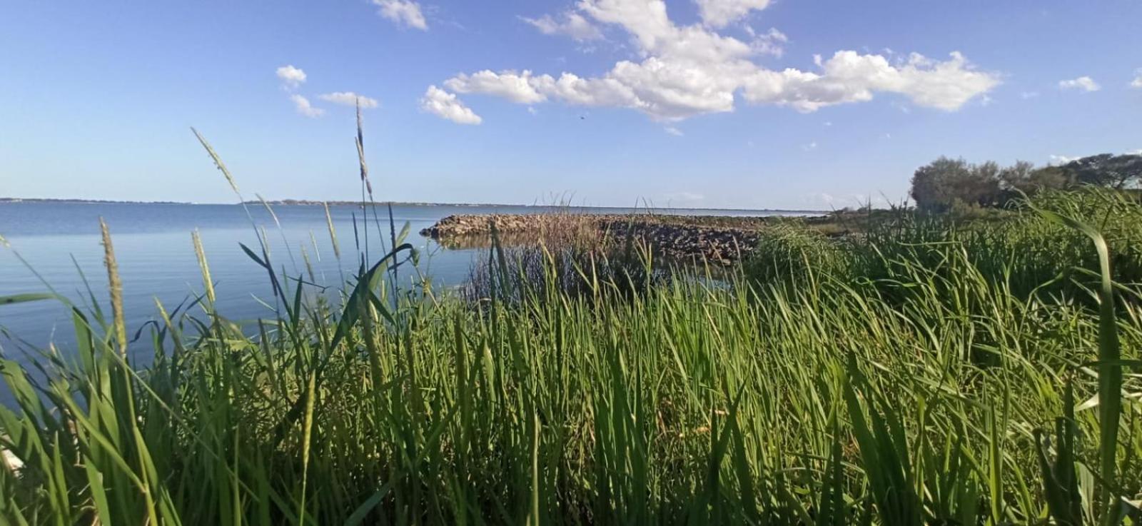 Casa Vacanze Nel Delta Del Po Taglio di Po المظهر الخارجي الصورة