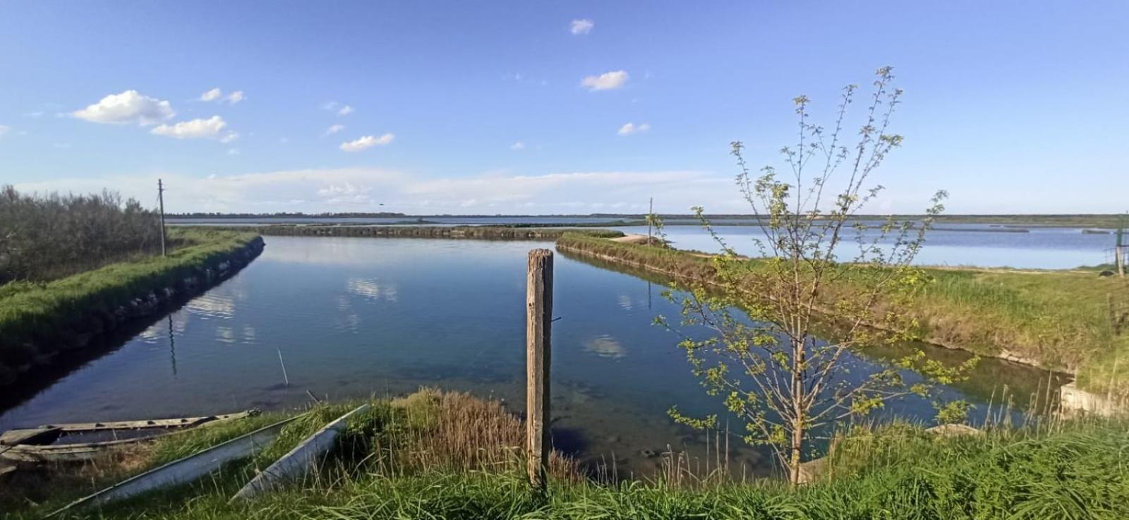Casa Vacanze Nel Delta Del Po Taglio di Po المظهر الخارجي الصورة