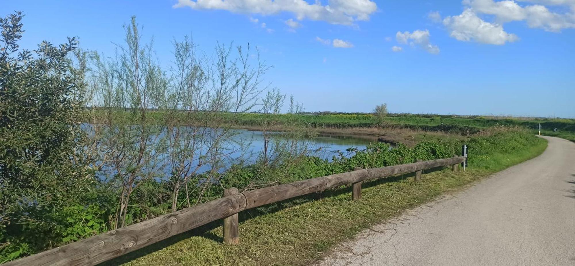 Casa Vacanze Nel Delta Del Po Taglio di Po المظهر الخارجي الصورة
