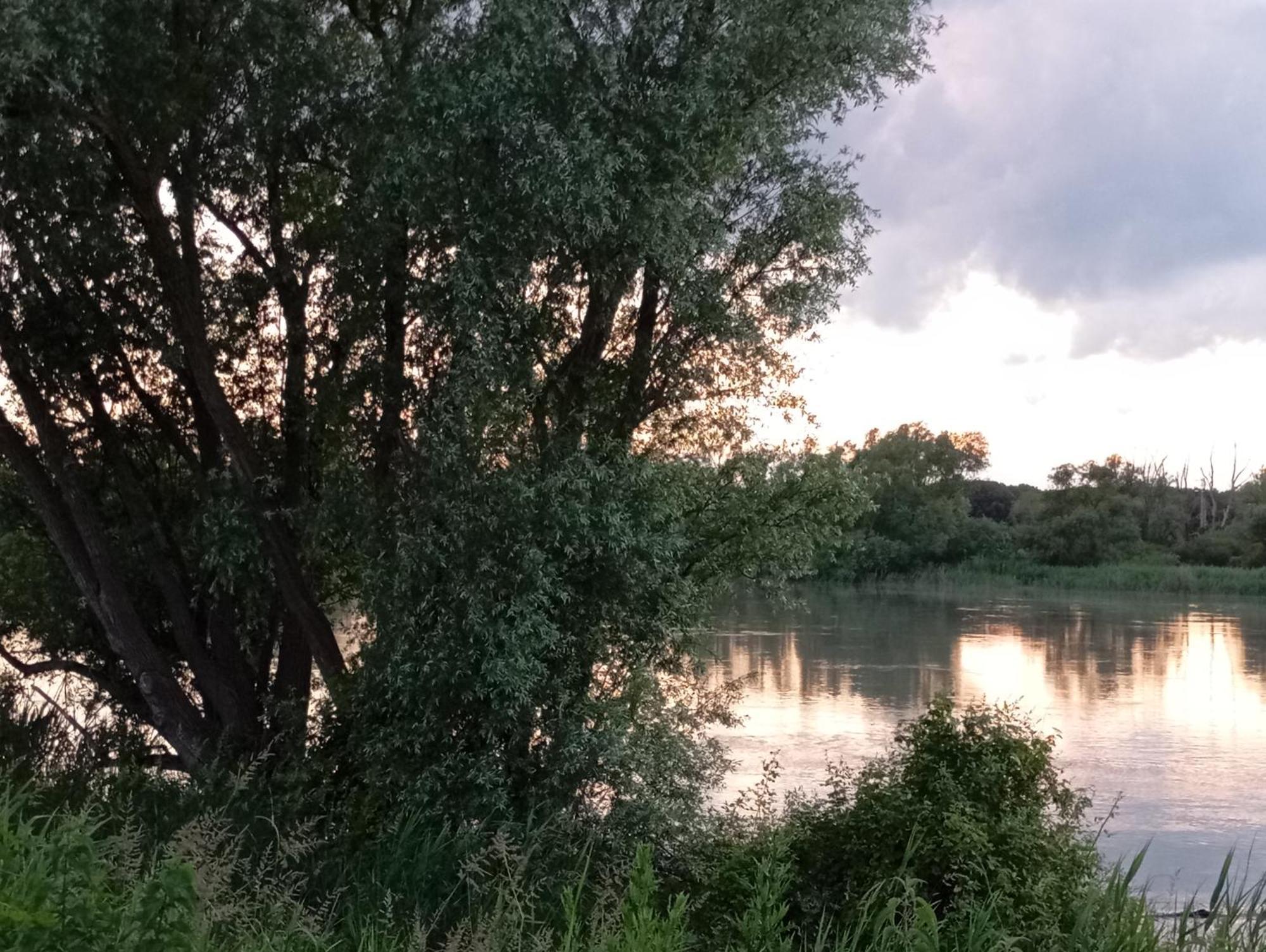 Casa Vacanze Nel Delta Del Po Taglio di Po المظهر الخارجي الصورة