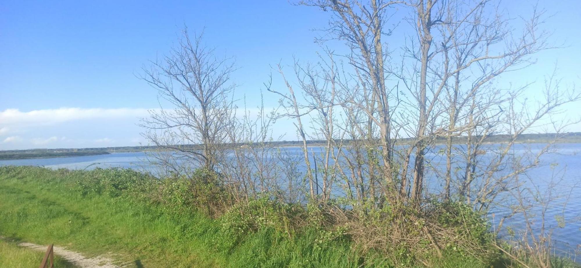 Casa Vacanze Nel Delta Del Po Taglio di Po المظهر الخارجي الصورة