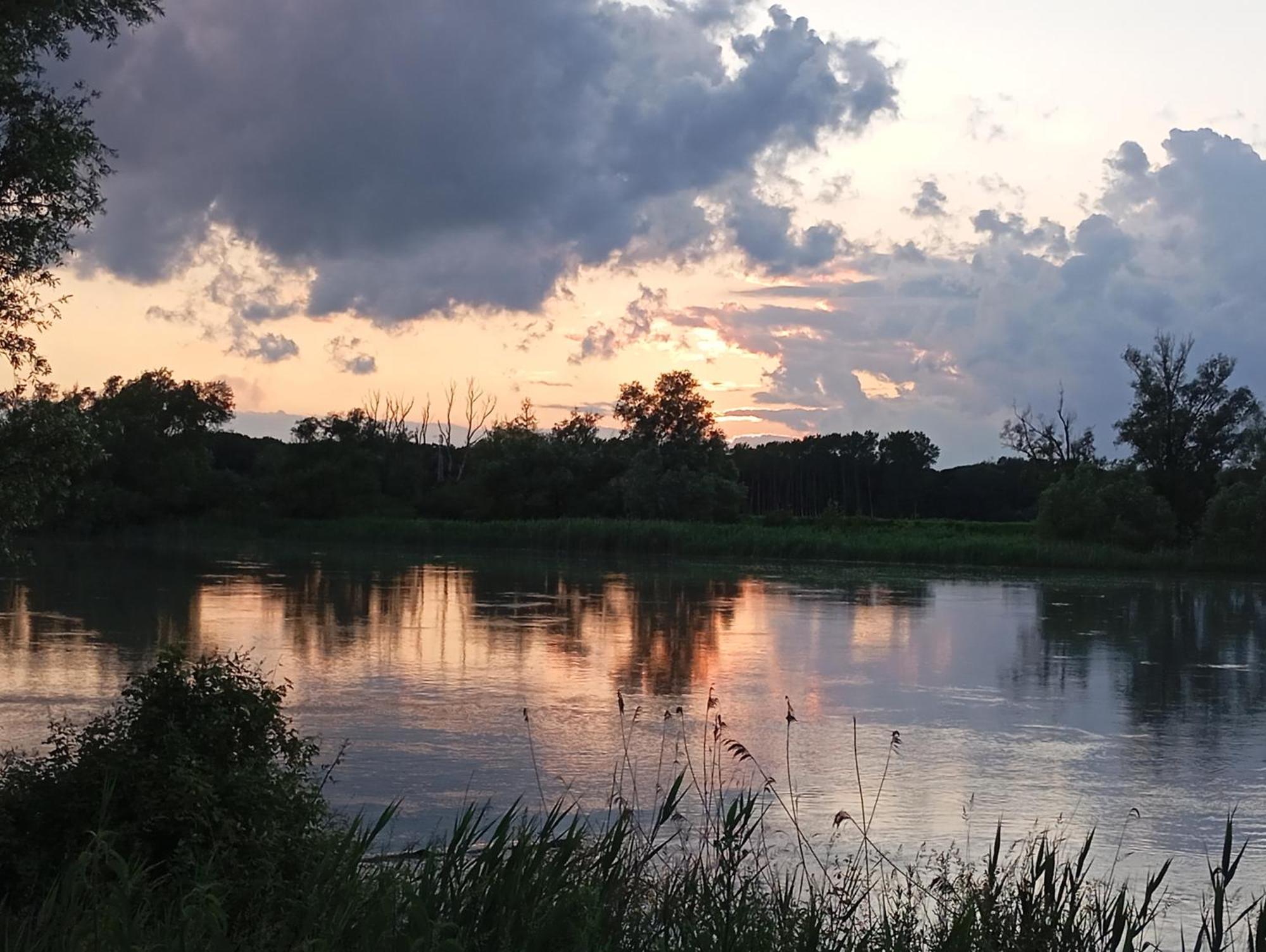 Casa Vacanze Nel Delta Del Po Taglio di Po المظهر الخارجي الصورة