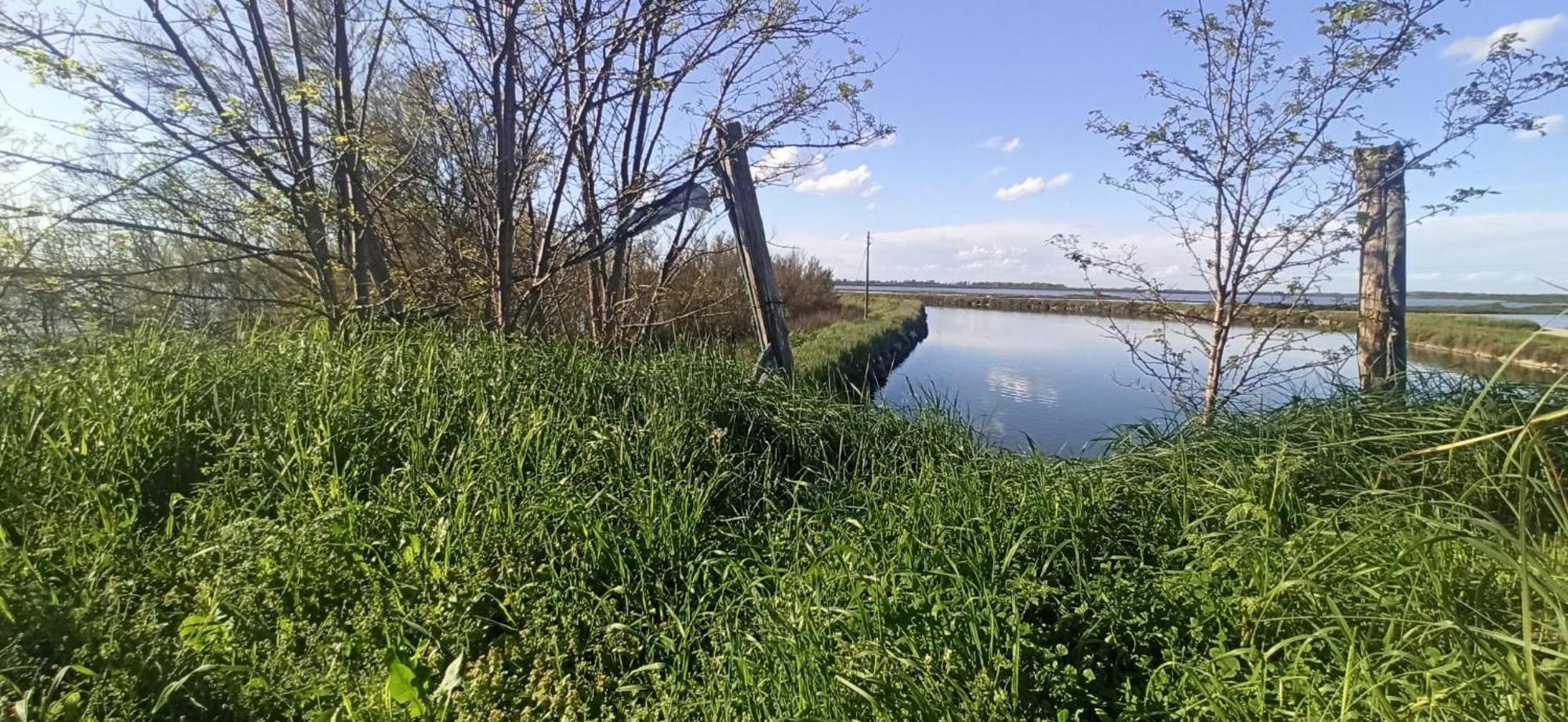 Casa Vacanze Nel Delta Del Po Taglio di Po المظهر الخارجي الصورة